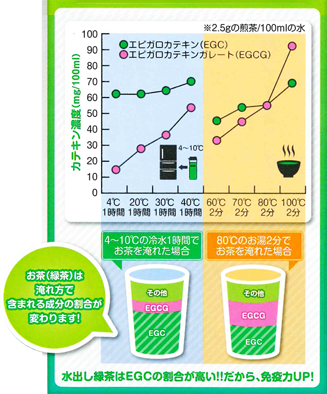 水出し緑茶はEGCが活性化