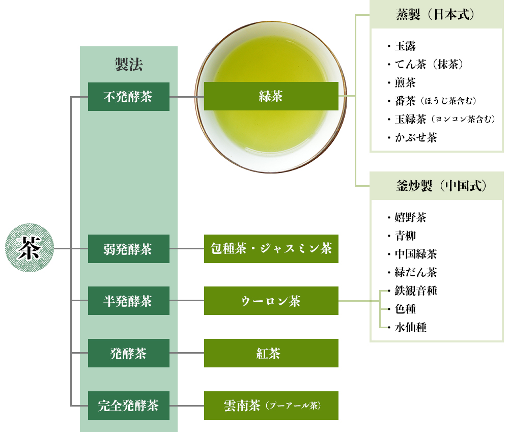 お茶の製法別分類図
